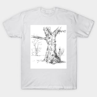 Gum Trees, Flinders Ranges T-Shirt